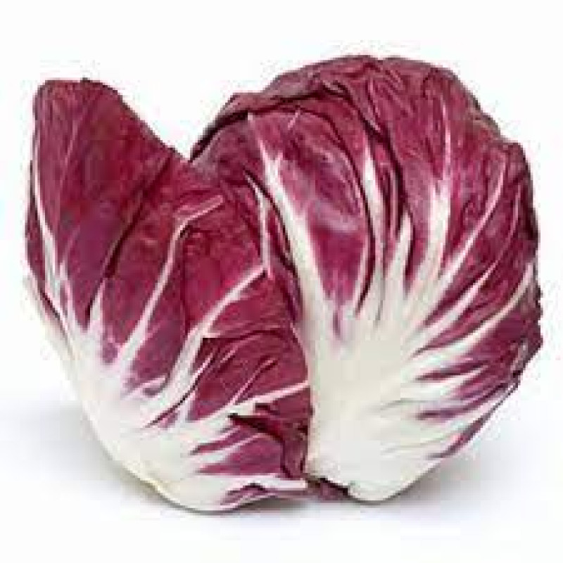 Chicória Roxa Orgânica Chicória Roxa Orgânica